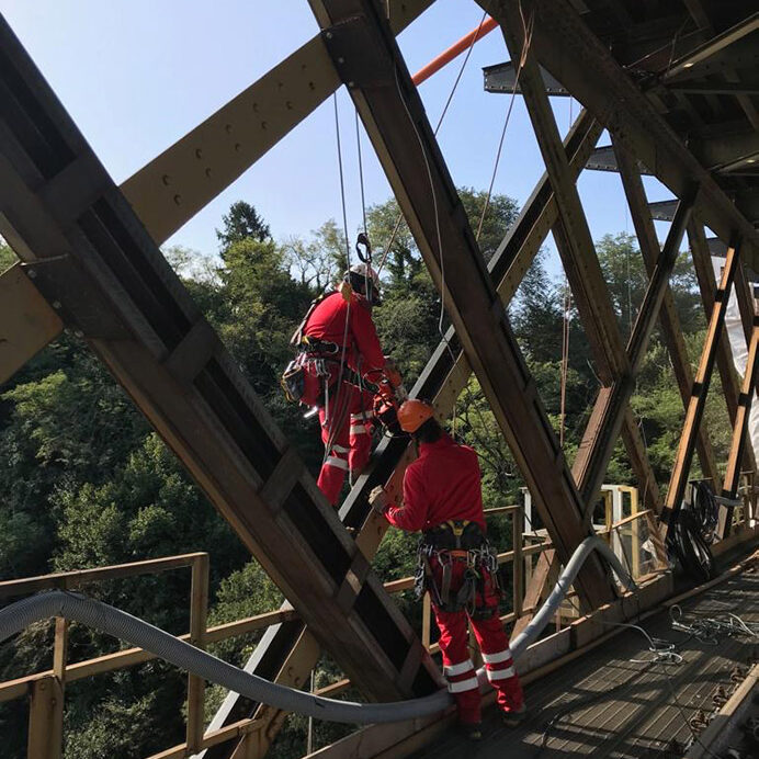 Ponte San Michele Geovertica