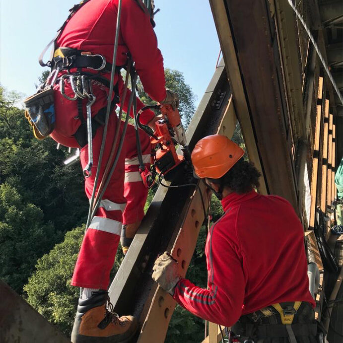 Ponte San Michele Geovertica
