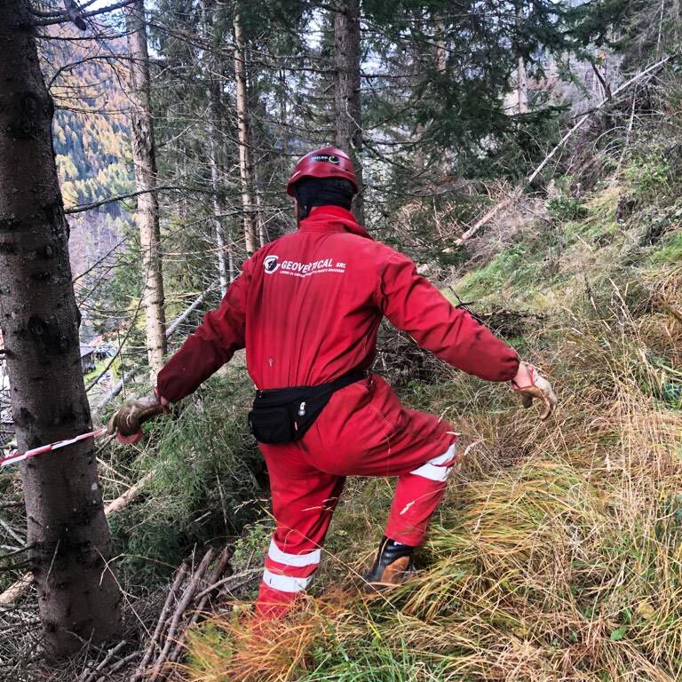 Operazioni di disbosco ed esbosco