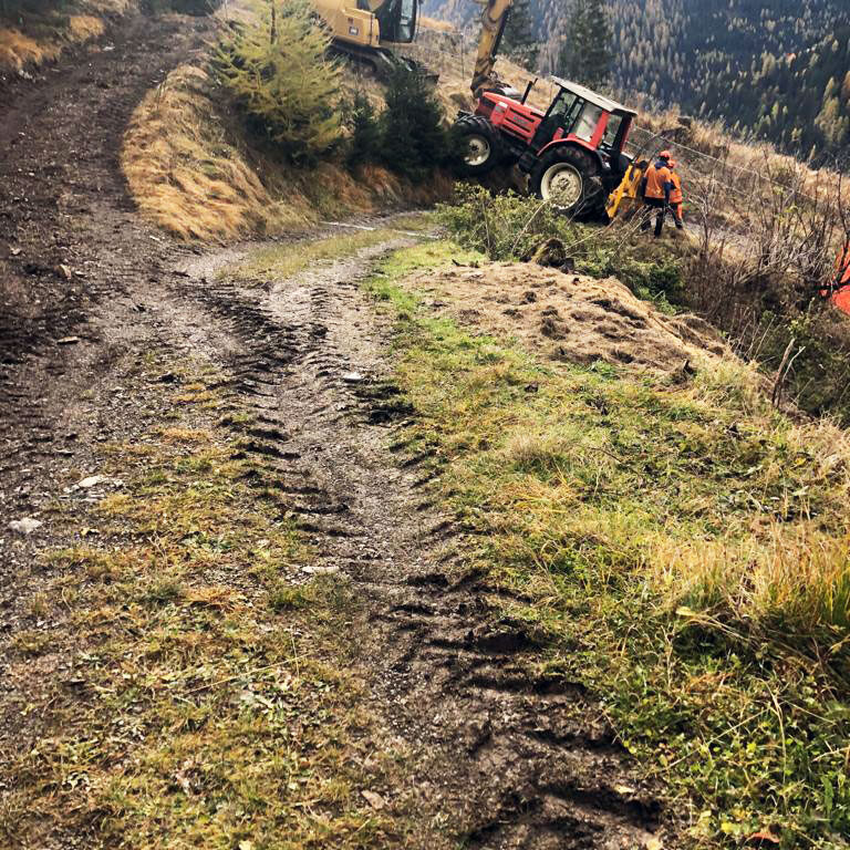 Operazioni di disbosco ed esbosco