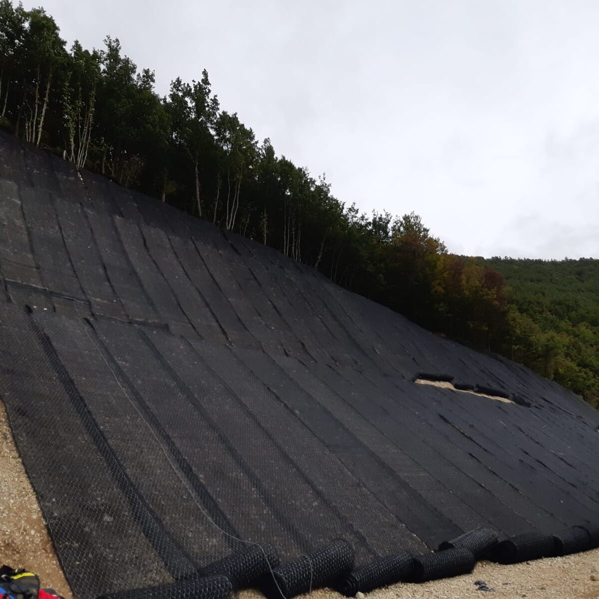 Posa biostuoia con semi